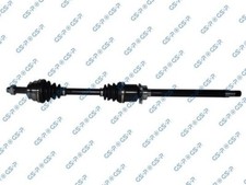 217143 GSP SEMIASSE DX per