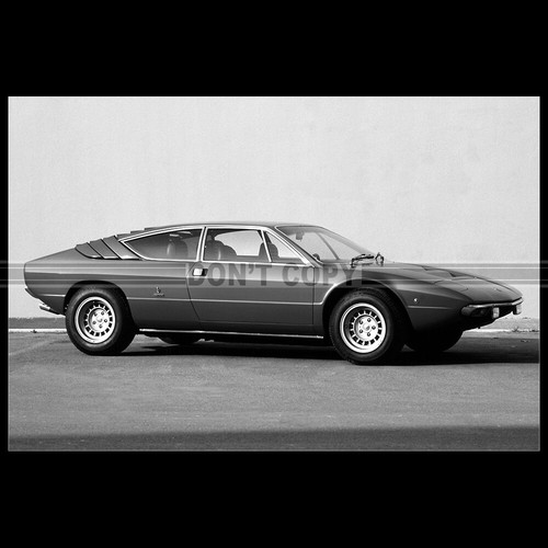 Photo 036446 lamborghini - a.036446,