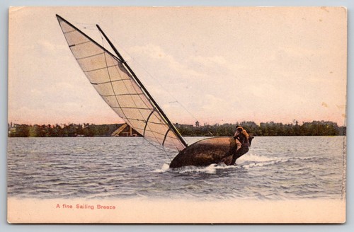 Cartolina epoca barca vela - cartolina,