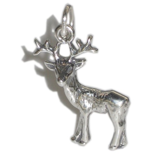 Ciondolo argento sterling - in,