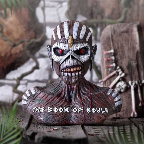 Iron maiden the book - book, souls