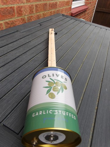 One string fretless - string, slide