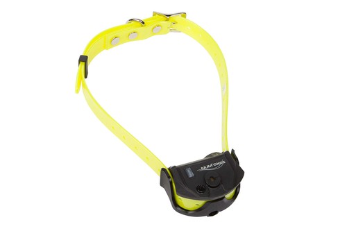 Collier seul supplementaire - collier, de