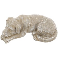 Commemorativa cane - ,