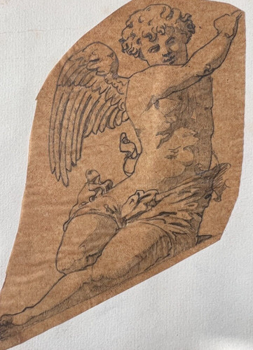 Ritratto angelo putti xix - angelo,