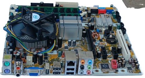 Scheda madre asus - scheda,
