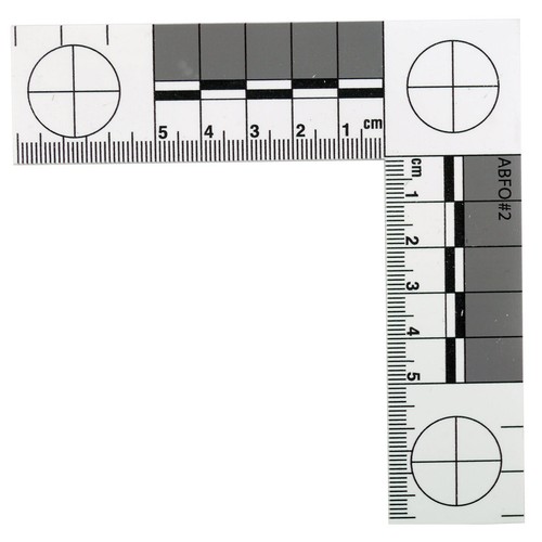 Photomacrographic scale - 2,