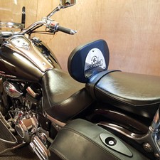 Schienale guidatore, schienale