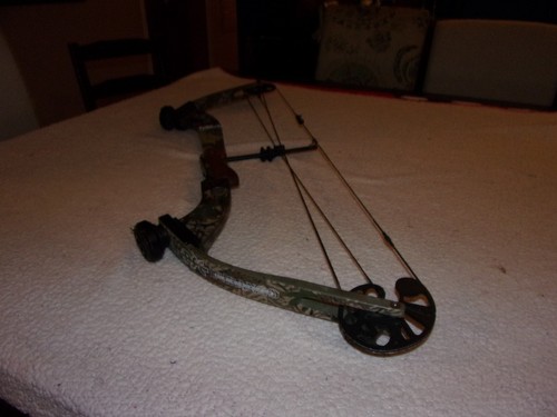 Hoyt usa rebel - hoyt, xt