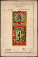 Foto: R. D. Hume per salmone