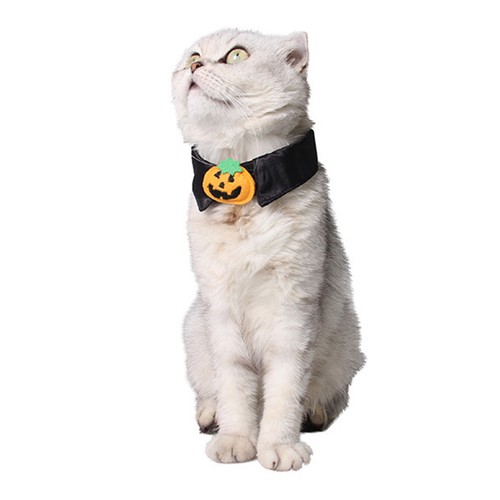 Accessori gatti collare per - accessori,