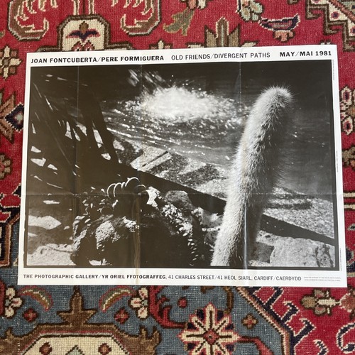 Joan fontcuberta affiche - fontcuberta,