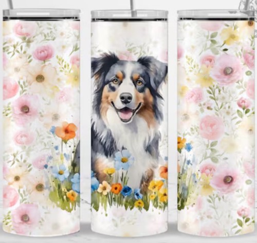 Australian shepherd oz - shepherd, 20