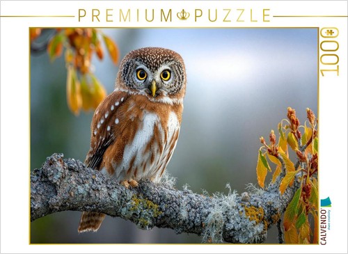 Calvendo puzzle der waldkauz - calvendo,
