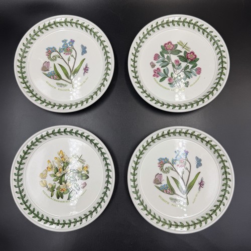 Set piatti piccoli - piatti,