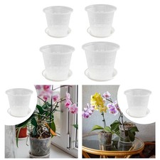 Vasi per orchidee con fori e