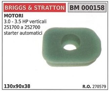 Filtro aria BRIGGS&STRATTON