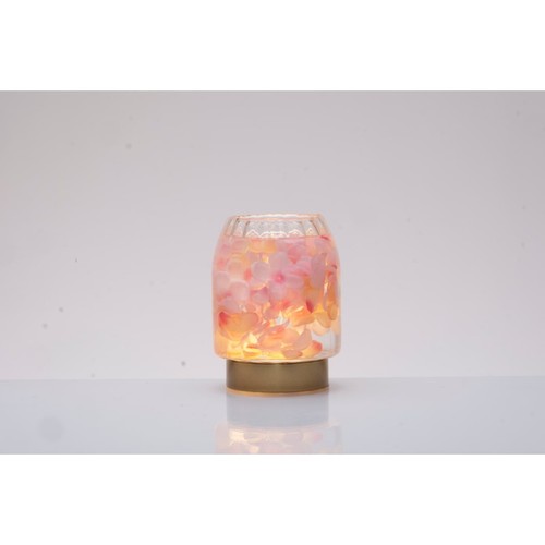 Vaso fiori lampada led - fiori,