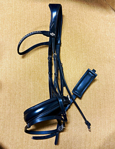Briglia dressage classica - dressage,