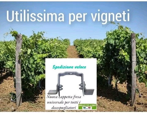 Testina zappetta fresa - zappetta,