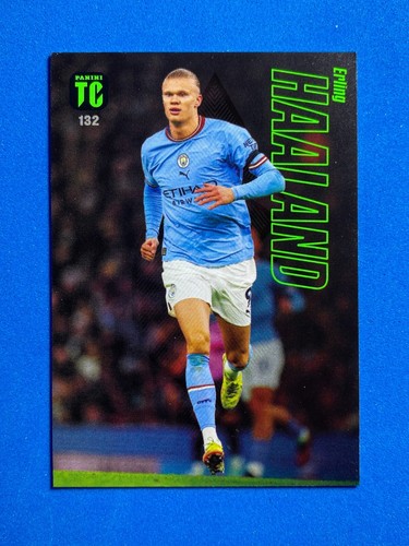 Panini adrenalyn top class - panini,