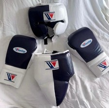 Wining Boxe Kit Guanti