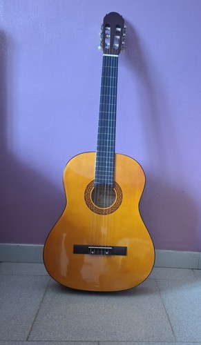 Paloma chitarra classica - pl, 20