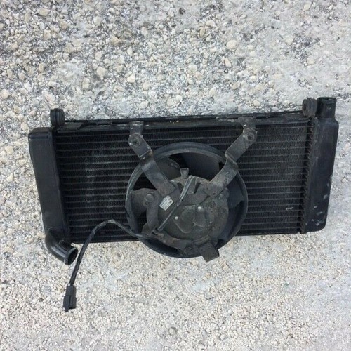 Radiatore completo con elettro - completo,