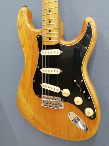 Fender stratocaster - fender,