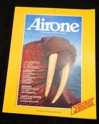 Rivista airone 98 - n°,