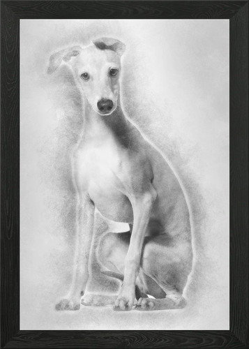 Quadro stampa tela poster - stampa,