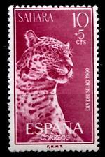 Leopard. 1W. Spanisch-Sahara