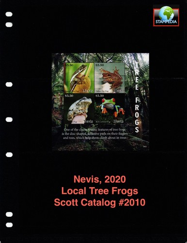 Scott value 2020 - value,