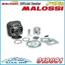 CILINDRO Ø 47 IN GHISA MALOSSI SP Ø 12  KYMCO MXer 50 2T