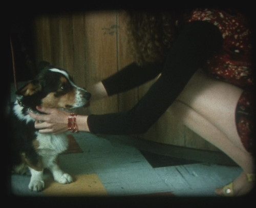 16mm film the accidental - 16mm,
