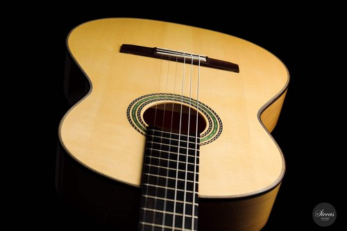 Armin hanika flamenco - armin,