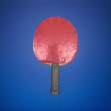 Racchetta Ping Pong Yasaka Jean Philippe Gatien