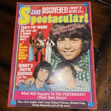 Tiger Beat Spectacular #7