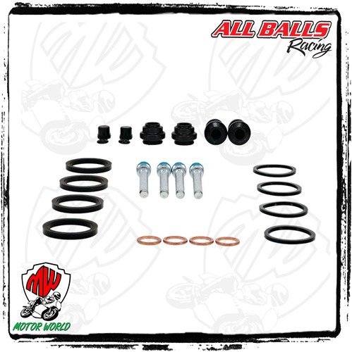 Kit revisione pinza - pinza, freno