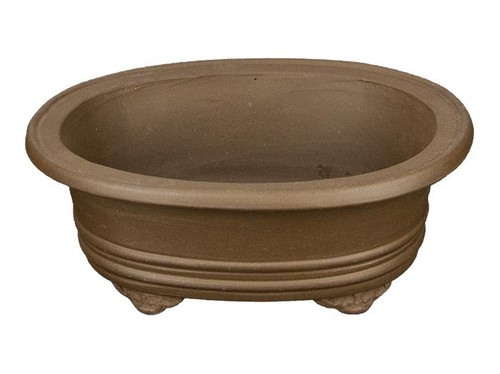 Vaso per bonsai - ovale, in