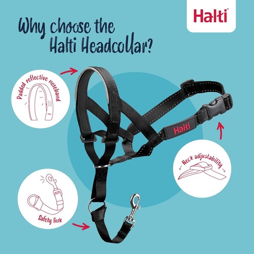 Halti collare cavezza per - halti,