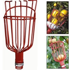 Cestino raccogli frutta in