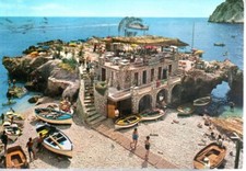 CARTOLINA  Carretto Siciliano anni  '50  postcard n. 203