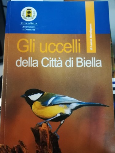 Uccelli della citta biella - della,