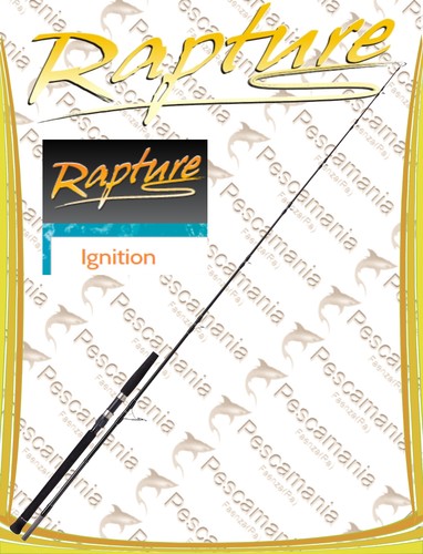 Canna spinning rapture - canna,