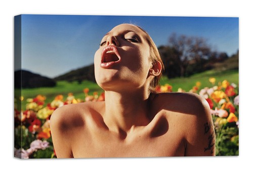 Quadro stampa tela con - stampa,