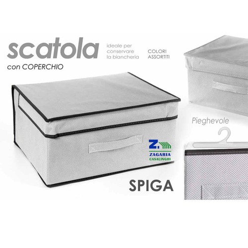 Contenitore scatola - contenitore,