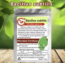 Bacillus Subtilis 100 g -