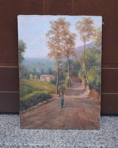 N4752 quadro strada nel - n4752,