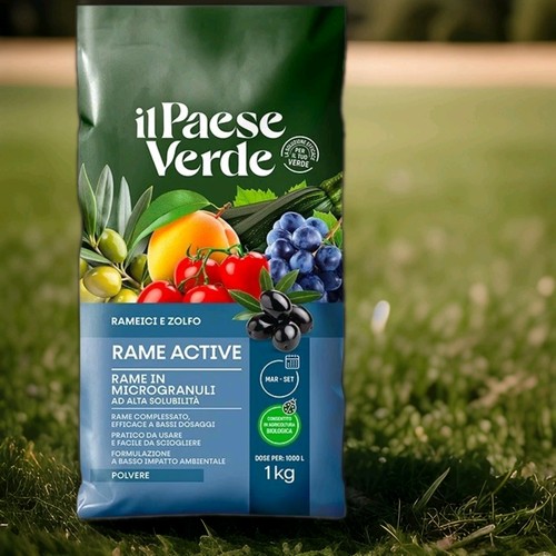 Rame active base - active,